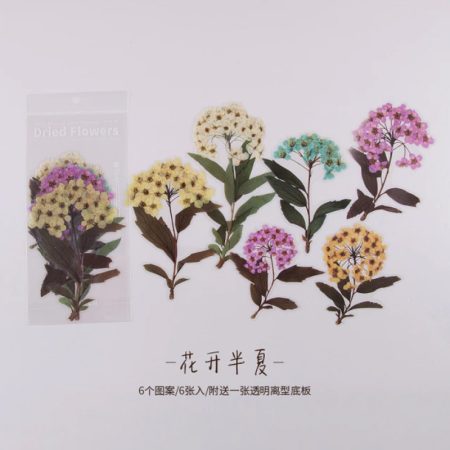 Journal Sticker Dried Flowers ZMHD006