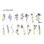 MO Card Medici Garden Series Sticker Flower-de-Luce 04