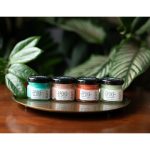 Epoke Pastel POP Mini Pigment Kit EP4