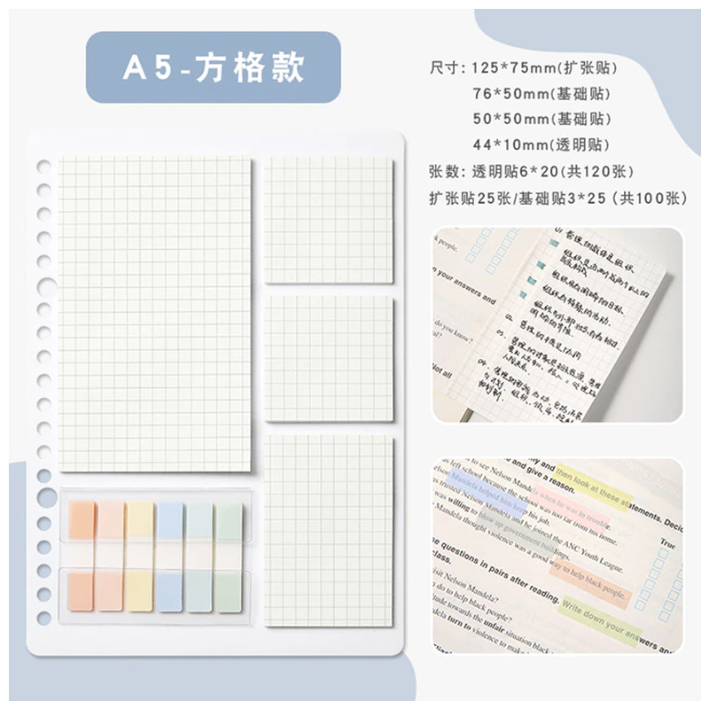 A5 Grid Memo Sticky Notes with Post It Flags Set of 10 (No.9710)