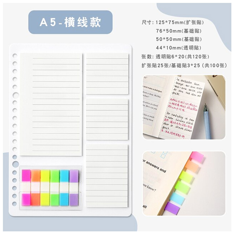 A5 Ruled Memo Sticky Notes with Post It Flags Set of 10 (No.9709)