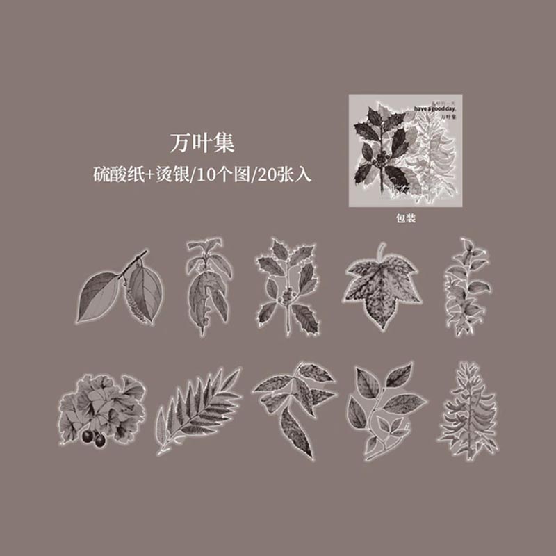 Journal Flower Border Vellum Sticker Manyoshu HGD-HYRM008