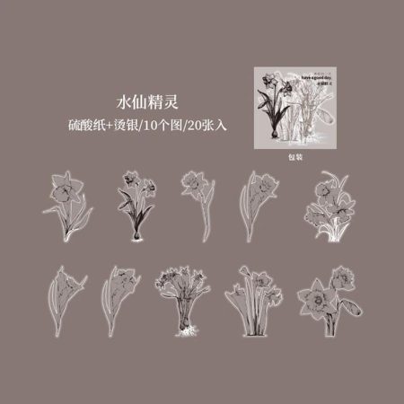 Journal Flower Border Vellum Sticker Narcissus HGD-HYRM006