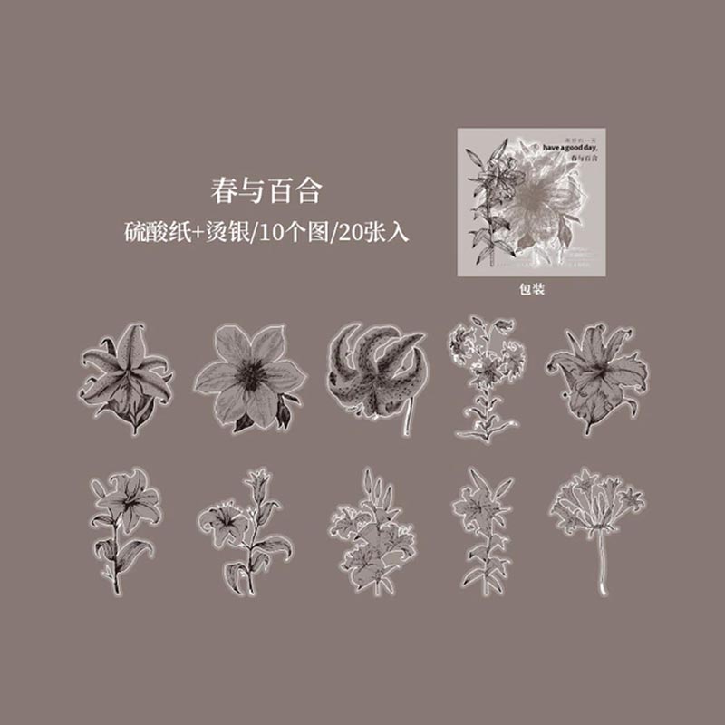 Journal Flower Border Vellum Sticker Spring and Lily HGD-HYRM001