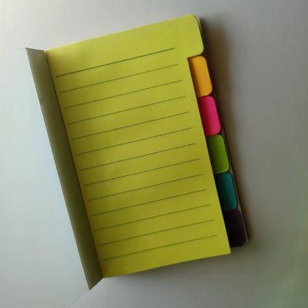 Post It Ruled With Flags Set of 6 (Neon-60 Sheets)