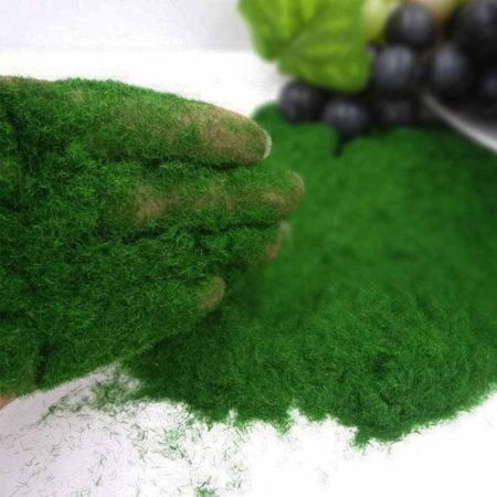 Artificial Moss Powder Dark Green 40gms