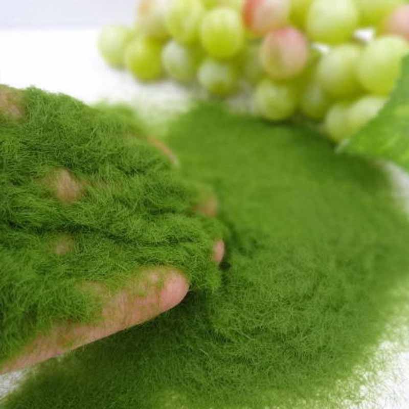 Artificial Moss Powder Light Green 40gms