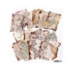 Burnt Fragment Journal Papers Map Fragments TS12F051