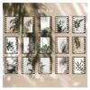 Journal Film Aesthetic Sticker BKS-DGSG003