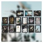 Journal Film Aesthetic Sticker BKS-DGSG007