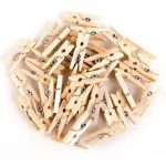 Wooden Clips 1" Pack of 100
