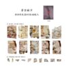 Hand Tearing And Burning Paper Fragments Of The Past HGD-SSRS007