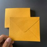 Jain Mini Envelope Sun