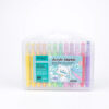 Giorgione Acrylic Marker Set