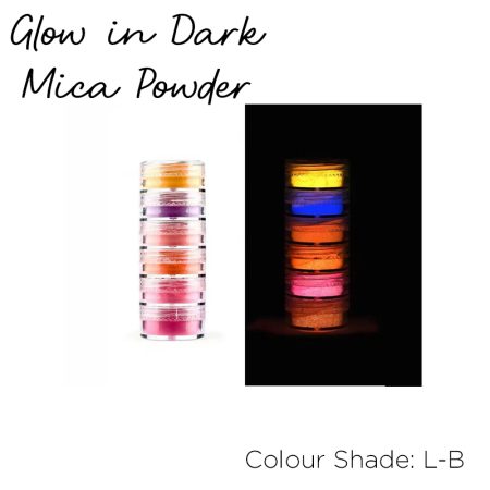 Glow in Dark Mica Powder 6in1 (L-B)
